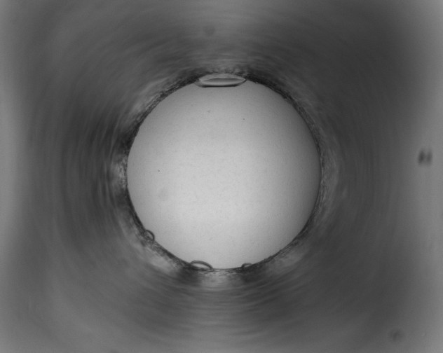 X0000115630432200911241651