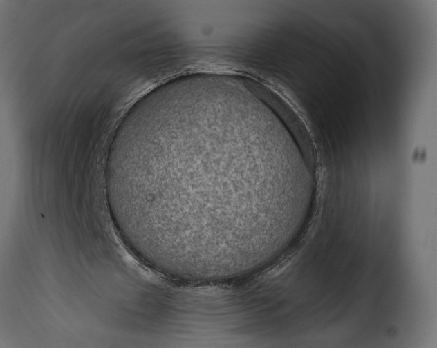 X0000115630433200911241650