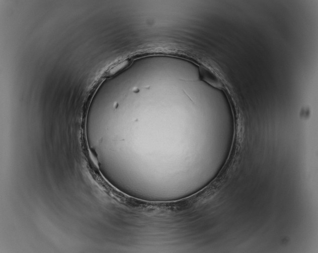 X0000115630434200911241650