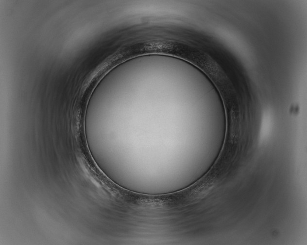 X0000115630435200911241650