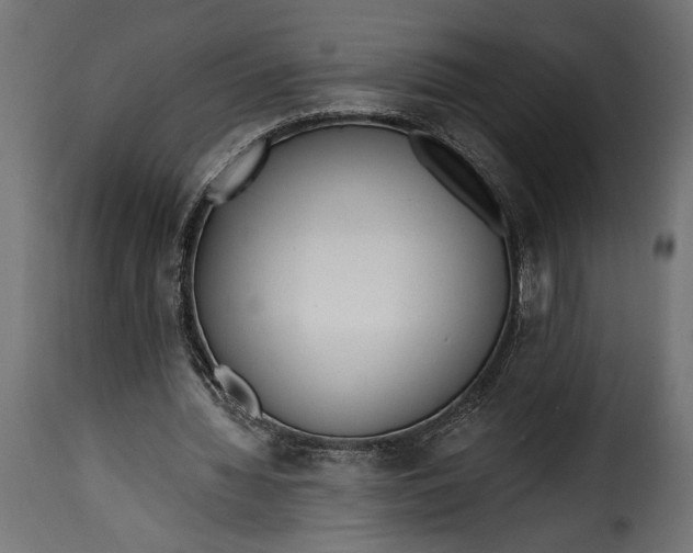 X0000115630436200911241650