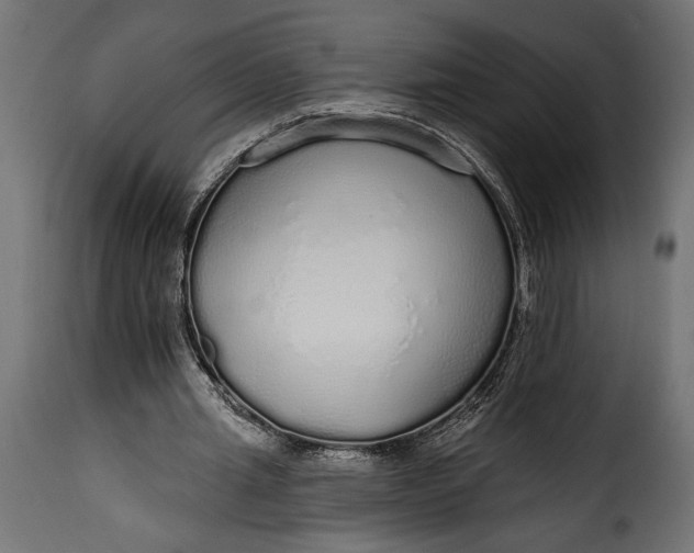 X0000115630437200911241650