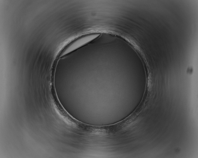 X0000115630438200911241650