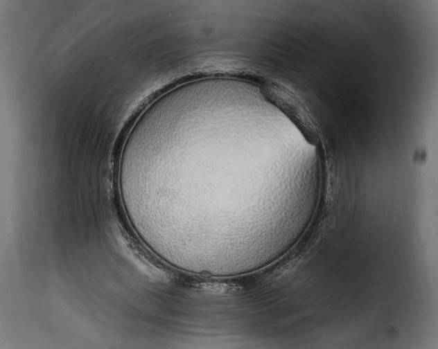 X0000115630439200911241650