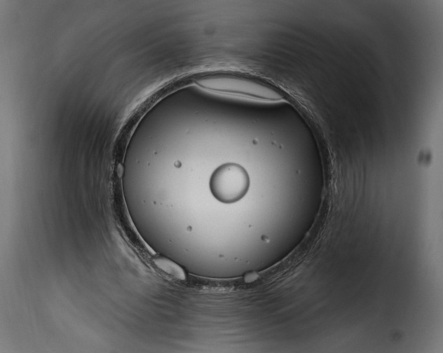 X0000115630440200911241650