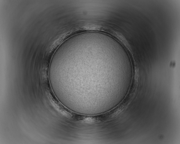 X0000115630441200911241650