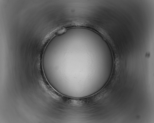 X0000115630442200911241650