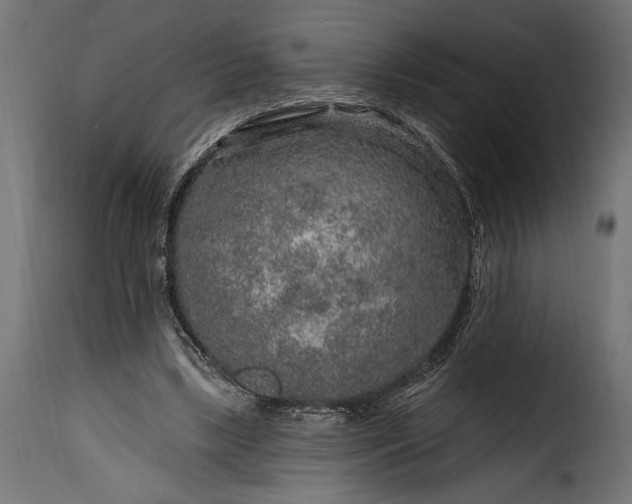 X0000115630443200911241651