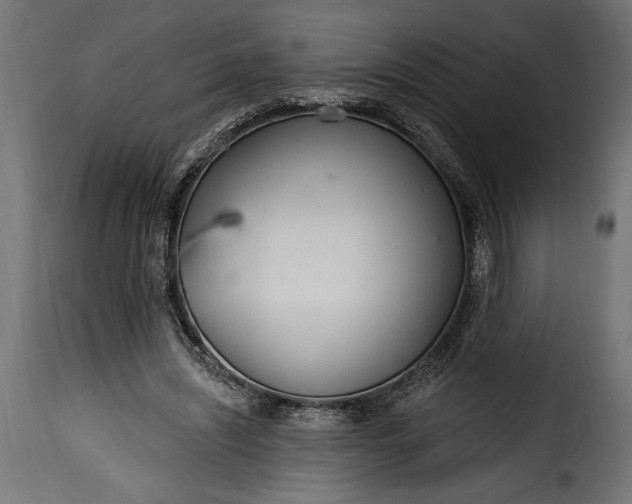 X0000115630444200911241651