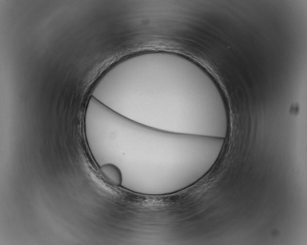 X0000115630445200911241651