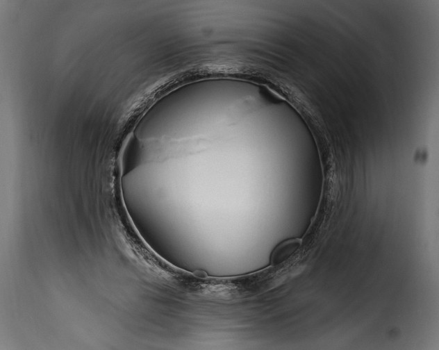 X0000115630446200911241651