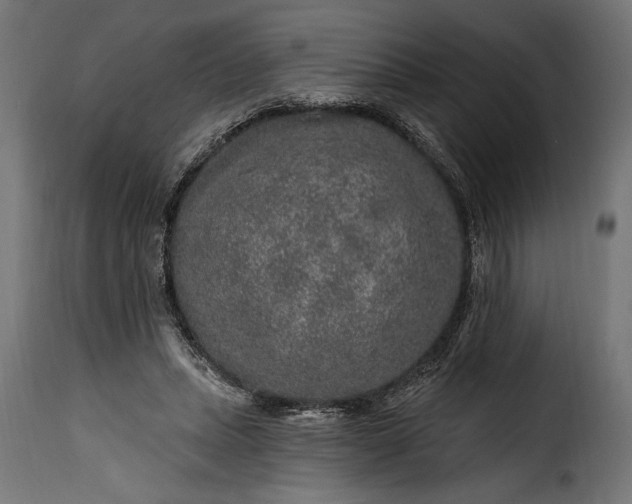 X0000115630447200911241651