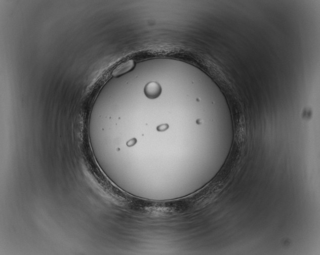 X0000115630448200911241651