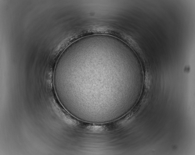 X0000115630449200911241651