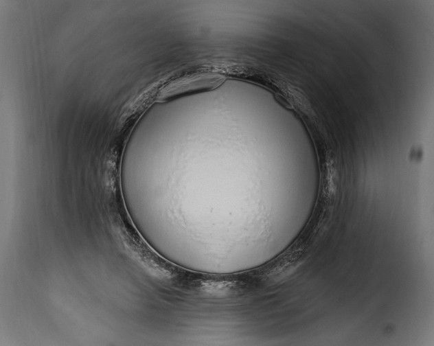 X0000115630450200911241651