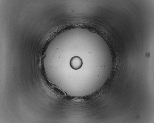 X0000115630452200911241651