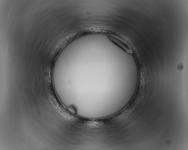 X0000115630453200911241651