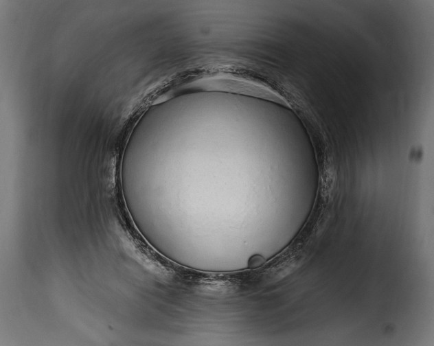 X0000115630454200911241651