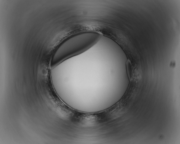 X0000115630456200911241651