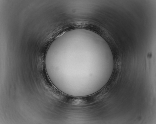 X0000115630460200911241651