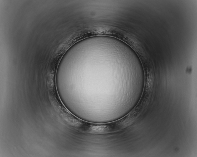 X0000115630461200911241651