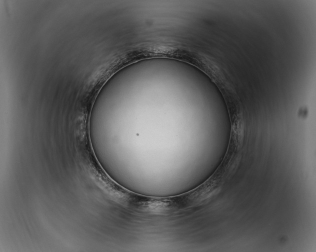 X0000115630462200911241651