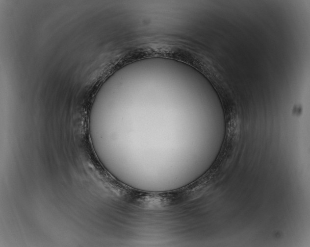 X0000115630464200911241651