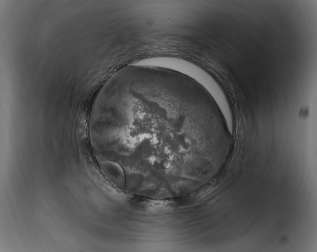 X0000115630465200911241651