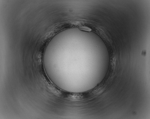 X0000115630466200911241651