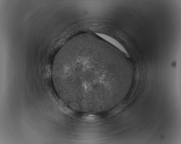 X0000115630467200911241651