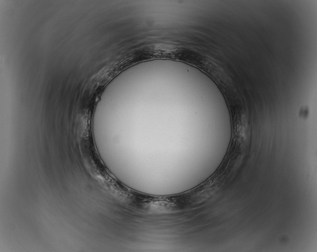 X0000115630468200911241651