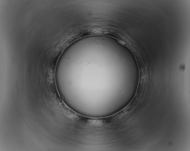 X0000115630469200911241651