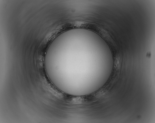 X0000115630470200911241651