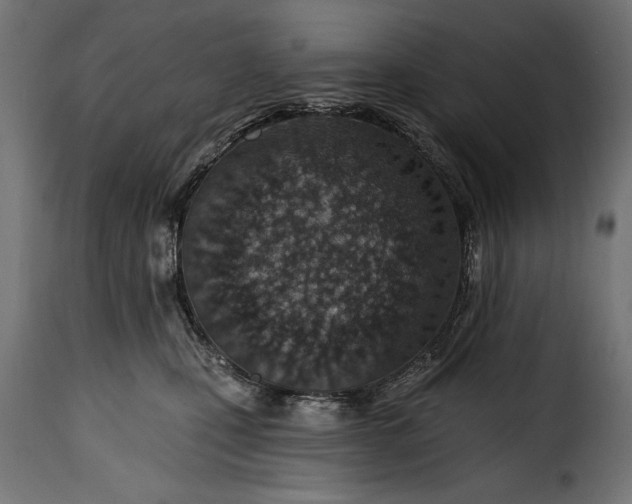 X0000115630471200911241651