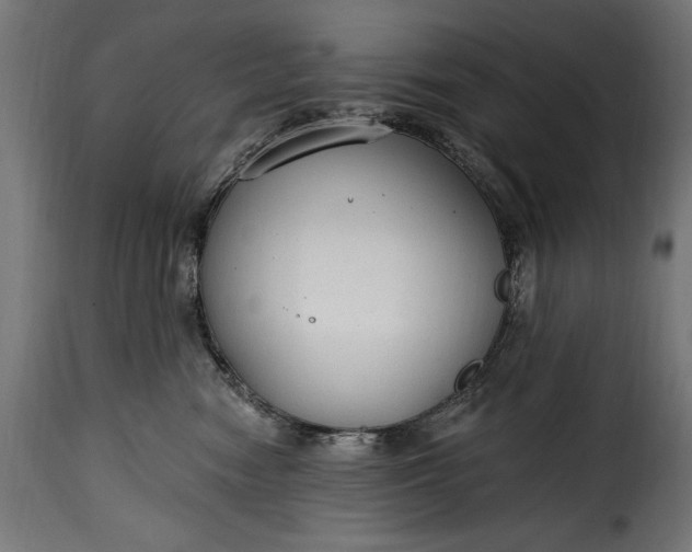 X0000115630474200911241651