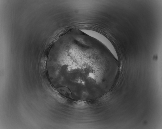 X0000115630475200911241651