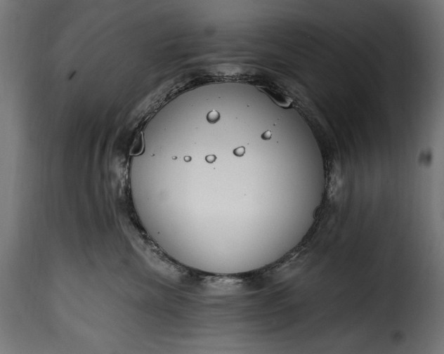 X0000115630476200911241651