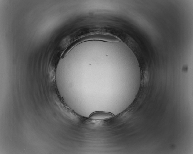 X0000115630478200911241651