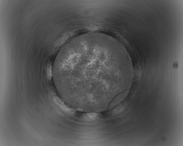 X0000115630479200911241651