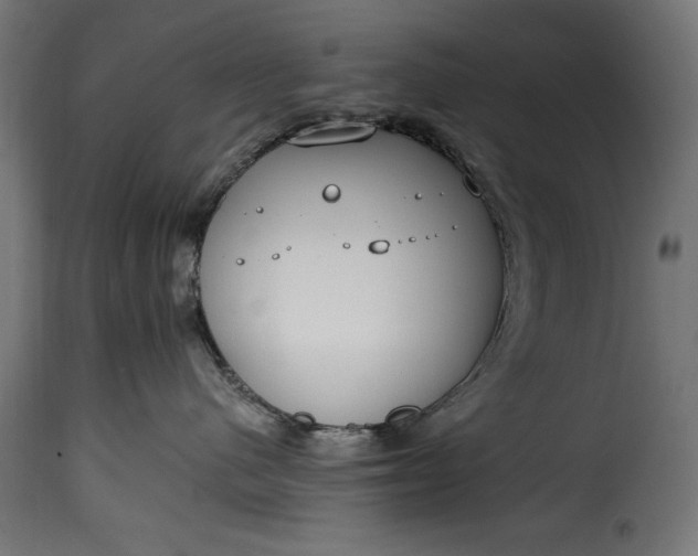 X0000115630480200911241651