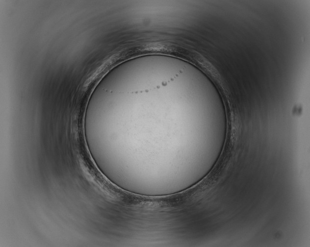 X0000115630482200911241650