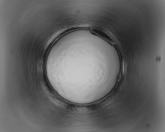 X0000115630483200911241650