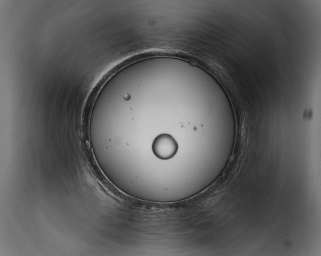 X0000115630484200911241650