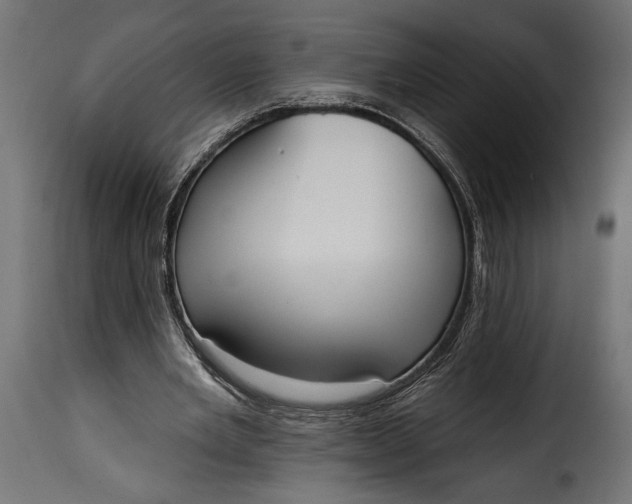 X0000115630485200911241650