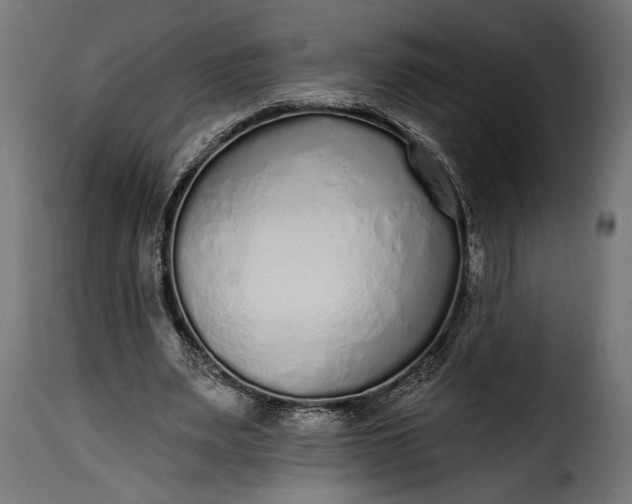 X0000115630487200911241650