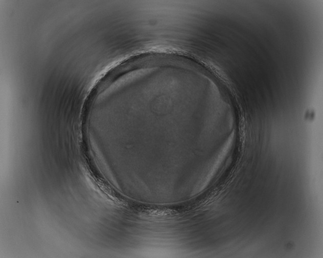 X0000115630488200911241650