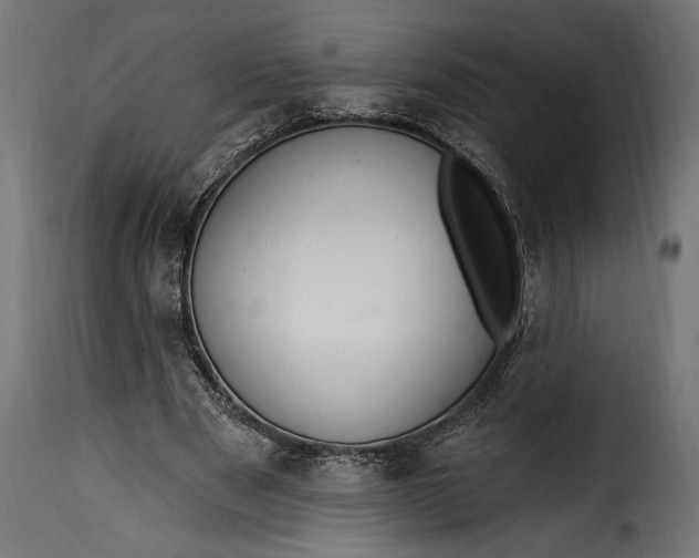 X0000115630489200911241650