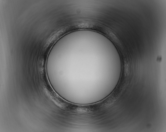 X0000115630490200911241650