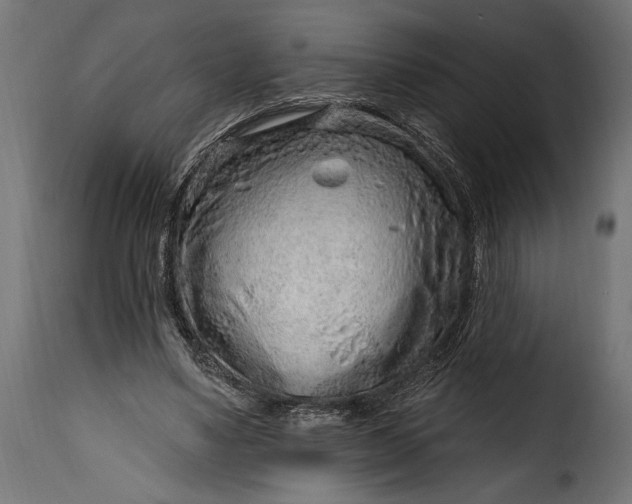 X0000115630491200911241650