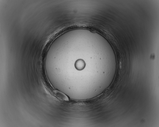 X0000115630492200911241650